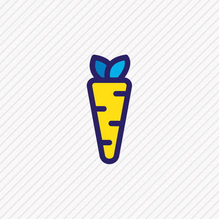 Vector illustration of carrot icon colored line. Beautiful leisure element also can be used as veggie icon element.のイラスト素材