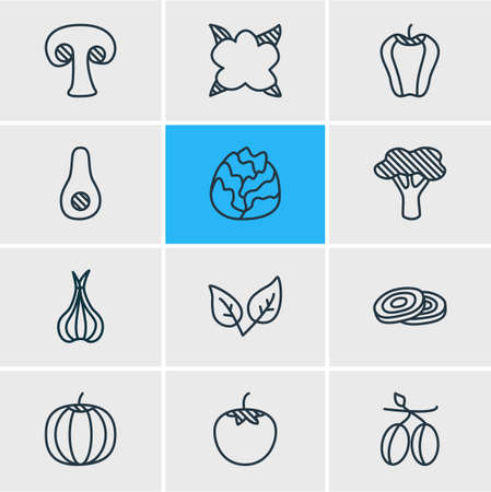 Vector illustration of 12 vegetables icons line style. Editable set of olives, cole, bulgarian bell and other icon elements.のイラスト素材