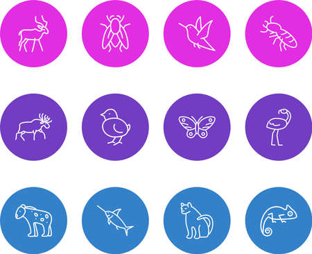 illustration of 12 animals icons line style. Editable set of humming bird, fly, poultry and other icon elements.の写真素材