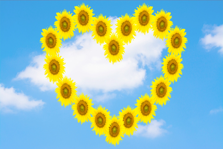 yellow heartの写真素材