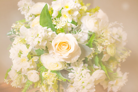white rose blurred backgroundの写真素材