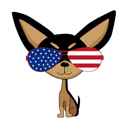 Cute chihuahua dog in american flag sunglasses.Hand drawn vector illustration. Good for T shirt print, poster, card, label, and other gifts design.のイラスト素材