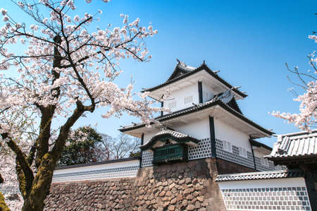 Majestic building castle with cherry blossom trees in full bloomのeditorial素材