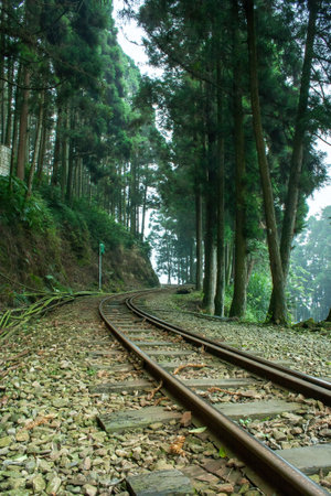 Nostalgic and romantic Taiwan Alishan Forest Railwayの写真素材