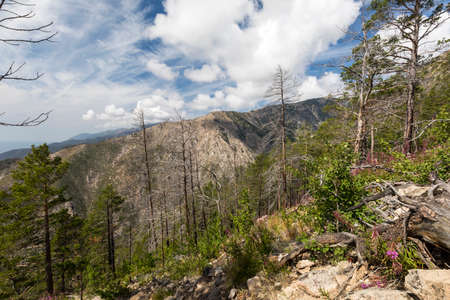 Landscape on Svyatoy Nos peninsula at Lake Baikalの写真素材