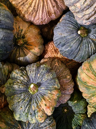 Pumpkin, fresh vegetable for your healthの写真素材