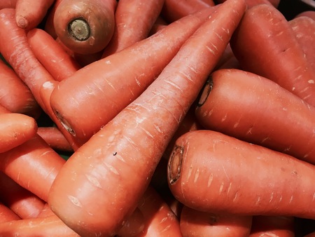 Carrot, fresh vegetable for your healthの写真素材