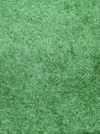 Background from texture of grassの写真素材