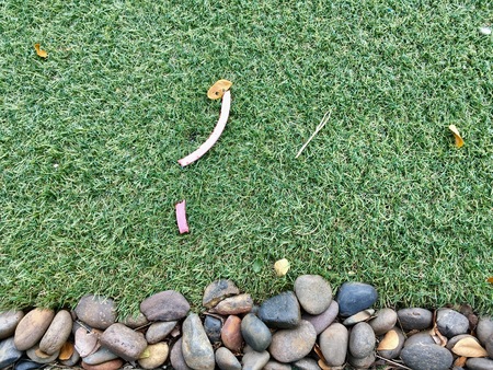 Background from texture of grass and stoneの写真素材