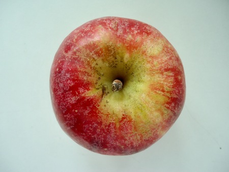 Single Red apple or isolated Red appleの写真素材