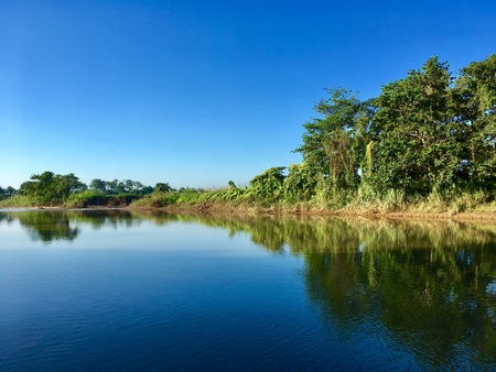 Symmetry, river tree and skyの写真素材