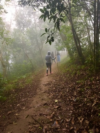 The girl walking in the Woods among fogの写真素材