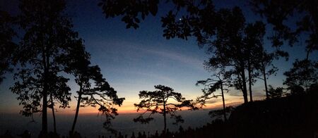 Panorama view silhouette of pine trees on colorful sunset light and twilight sky, backgroundの写真素材