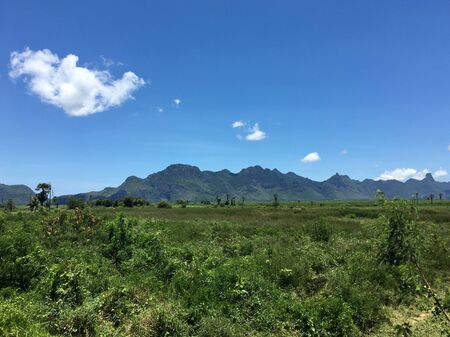 Landscape view of local meadow, hill with more tree and blue skyの写真素材