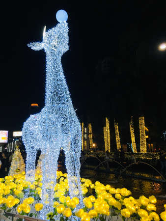 Reindeer light decoration on Christmas day night streetの写真素材
