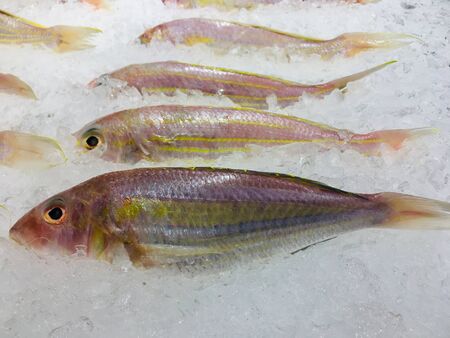 Fresh fish (Ornate Threadfin Bream fish) on ice seafood booth in supermarketの写真素材