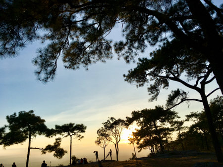 Silhouette scenery of trees on mountain with sunset light and twilight sky backgroundの写真素材