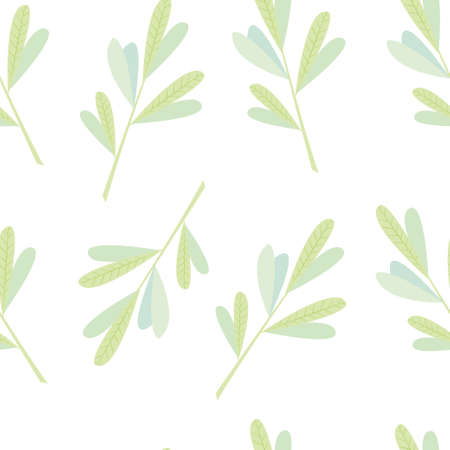 plants and flowers