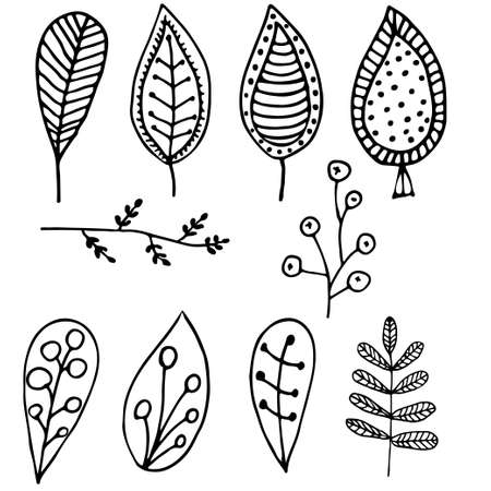 Isolated set of leaves ornament elements. Decorative components for illustrations. Ornamental foliage. A set of leaves. Sheets with patterns. Pattern sheets for fabric, paper, clearance.のイラスト素材