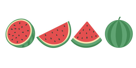 Vector set of watermelons, watermelon slice, tropical fruit collection design for interior, poster, bannerのイラスト素材