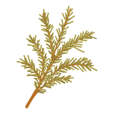 branch pine tree isolated icon vector illustration designicon vector illustration designのイラスト素材