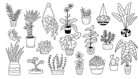 Set of hand drawn houseplants in pots. Vector illustration.のイラスト素材