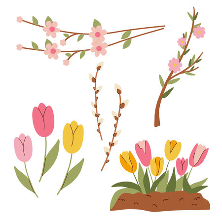 Set of spring flowers and willow branches.Tulips, willow, cherry blossom, cherry blossom, sakura. Vector illustration.のイラスト素材