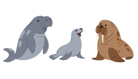 Set of cute aquatic animals. Ocean mammals. Walrus, sea lion, seal. Vector illustration in cartoon style isolated on white background.のイラスト素材