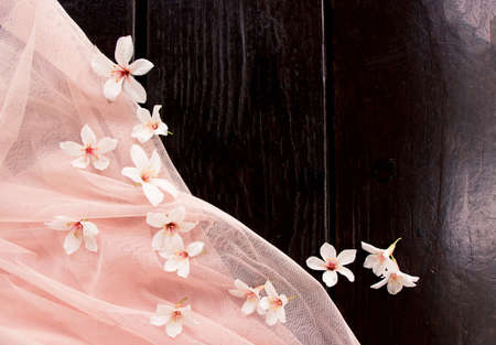 Tung blossom/Vernicia fordii/ Tungoil Tree /Tung tree / Aluerites fordii Hemsi /Aleurites montana in full blossomの写真素材