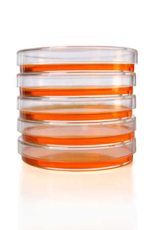Stack of Petri dishes isolated over white backgroundの写真素材