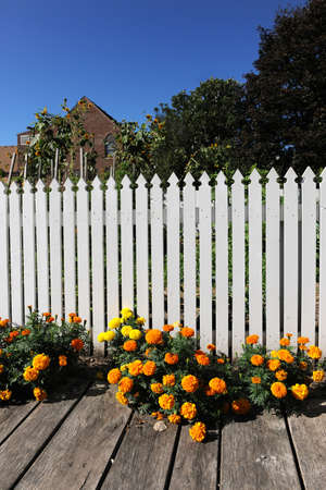 White wooden fence in home garden during sunny dayの写真素材