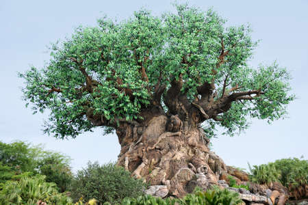 ORLANDO, FLORIDA - JUNE 05, 2012  The Tree of Life at Disneのeditorial素材