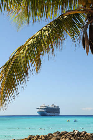 Palm tree and cruise ship in tropical watersの写真素材