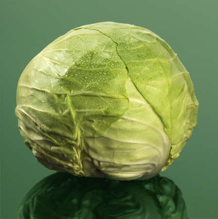 Head of cabbage on reflective tableの写真素材