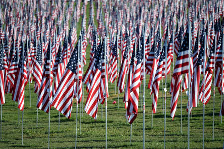 Saint Louis, MO â September 11, 2016: More than 7,000 flags with name, photo and dog tag of soldier killed defending the United States wave outside the St. Louis Art Museum in Saint Louis, Missouriのeditorial素材