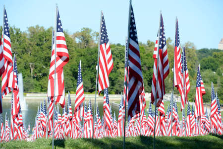Saint Louis, MO â September 11, 2016: More than 7,000 flags with name, photo and dog tag of soldier killed defending the United States wave outside the St. Louis Art Museum in Saint Louis, Missouriのeditorial素材