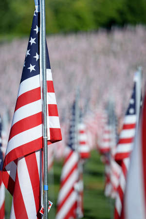 Saint Louis, MO â€“ September 11, 2016: More than 7,000 flags with name, photo and dog tag of...