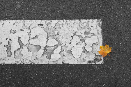 autumn leafs on an old street. Background. Faktureの写真素材