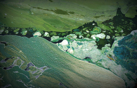 Abstract sludge texture. Green background. Water.の写真素材