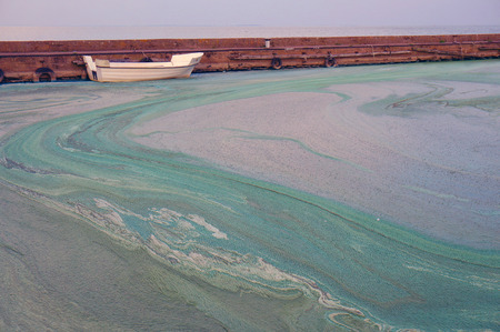 Sludge, water and boat in the horizont. Blue background. The port of Nida.の写真素材