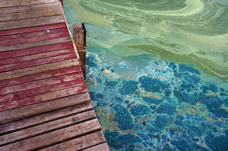 Abstract Background, sludge Texture, Colorfull water. Bridge. water bloomsの写真素材
