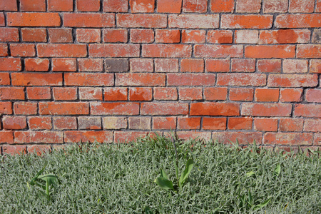 brick wall in the garden. Red and green background. Old bricks facture.の写真素材