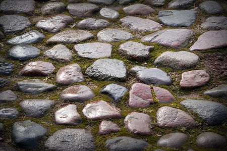 Stone pavement texture. Granite cobble stoned pavement green background. Abstract background of old cobblestone pavement close-up. Green and stones.の写真素材