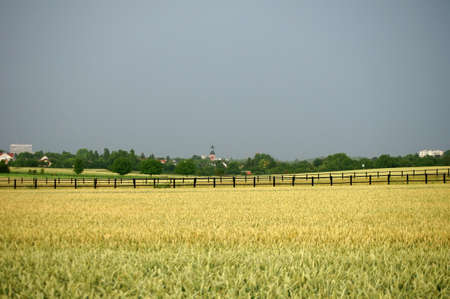 The inclusion of a fence into a field shortly after or during a thunderstormの写真素材