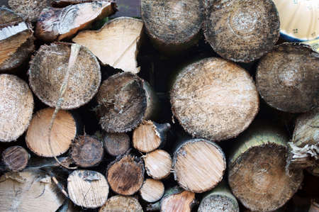 The close-up of logs or pieces of firewood                      