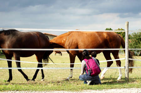A mother and her young son inspect two horses in the gate of a horse riding center                   のeditorial素材