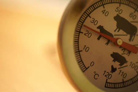 The close-up of a meat thermometer                   の写真素材