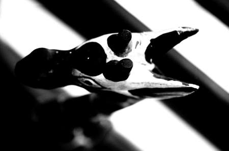 The plan view on a wooden sculpture, a giraffe                  の写真素材