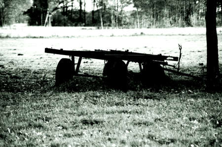 A handcart or follower stands on a meadow at the edge of the forest                    の写真素材