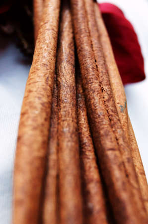 The close-up of a bundle of cinnamon sticks                       の写真素材